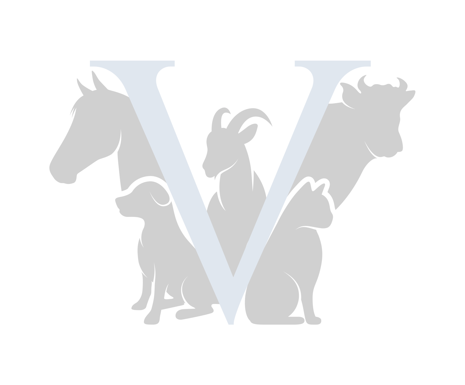 CENTRE VETERINAIRE FLAWINNE